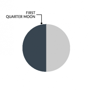 月亮阶段第一季度月亮
