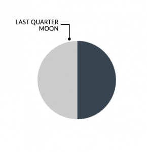 月阶阶段去年月亮