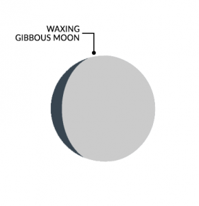 月亮阶段打蜡鹅月亮