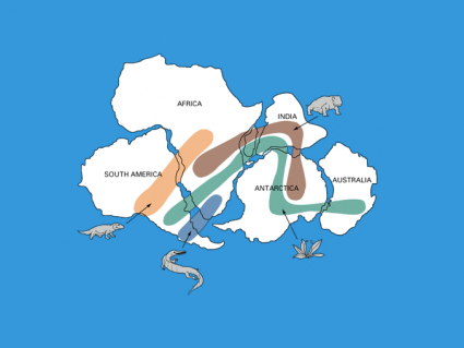 泛大陆化石:泛大陆超级大陆的证据