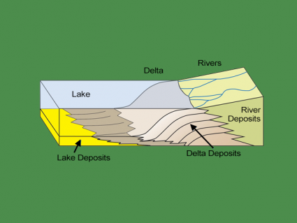 河流三角洲:它是如何形成的