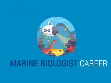 海洋生物学家职业:海洋生物学家做什么?