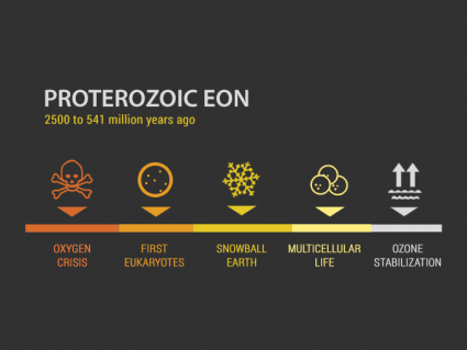 正常古代EON：多细胞寿命的真核生物（2500至5.541亿年前）