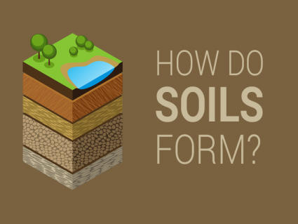 5土壤形成因素：如何将天气变成污垢