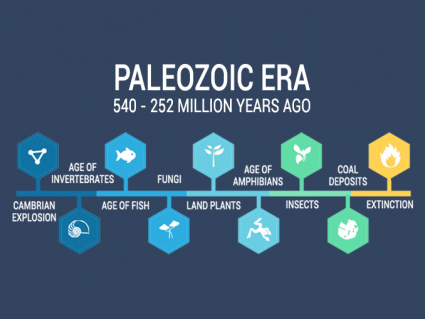 古生代时代：生活多样化（540至2.52亿年前）