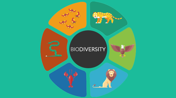 生物多样性生物多样性
