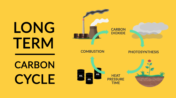 长期碳循环